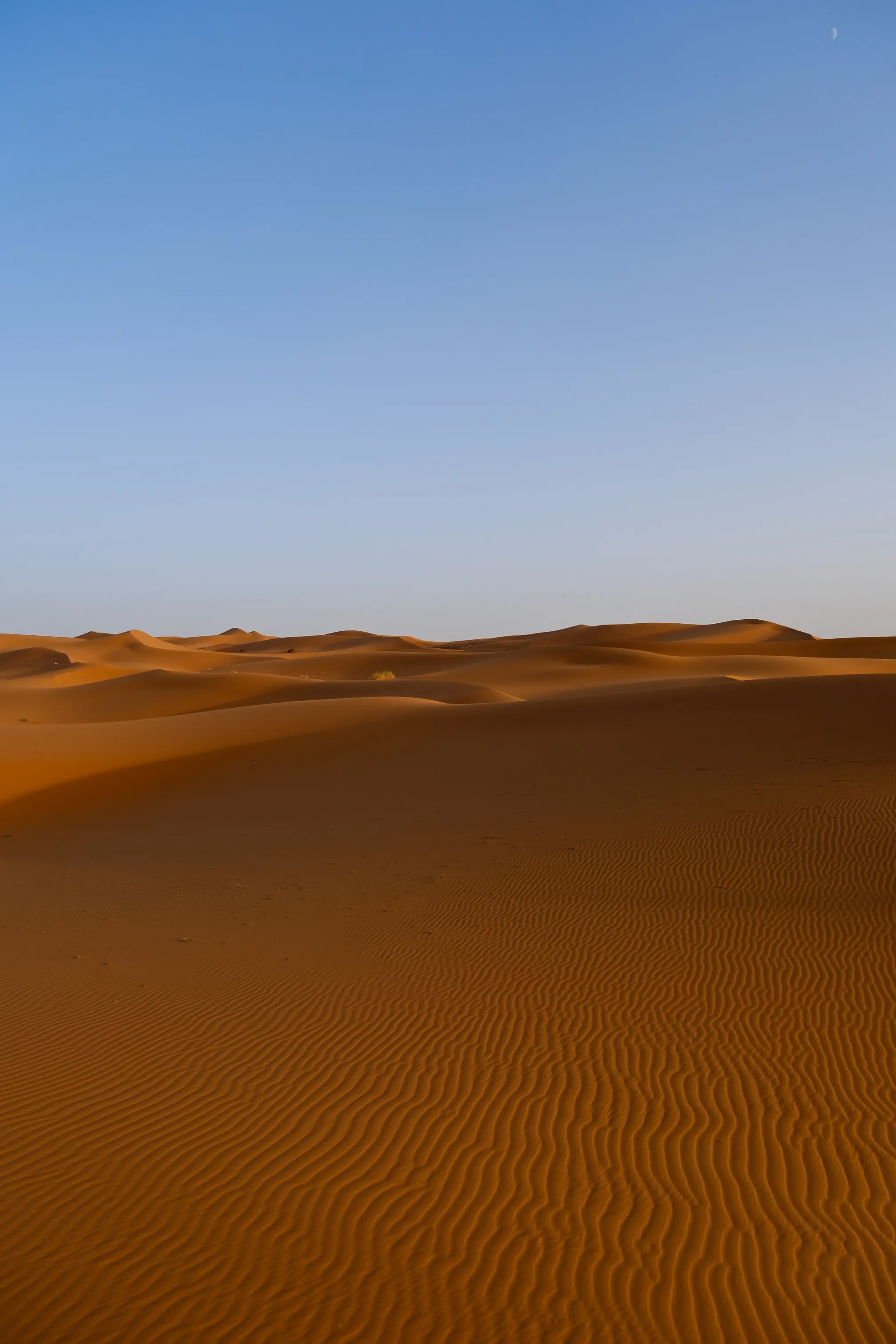 Landscape photography 8