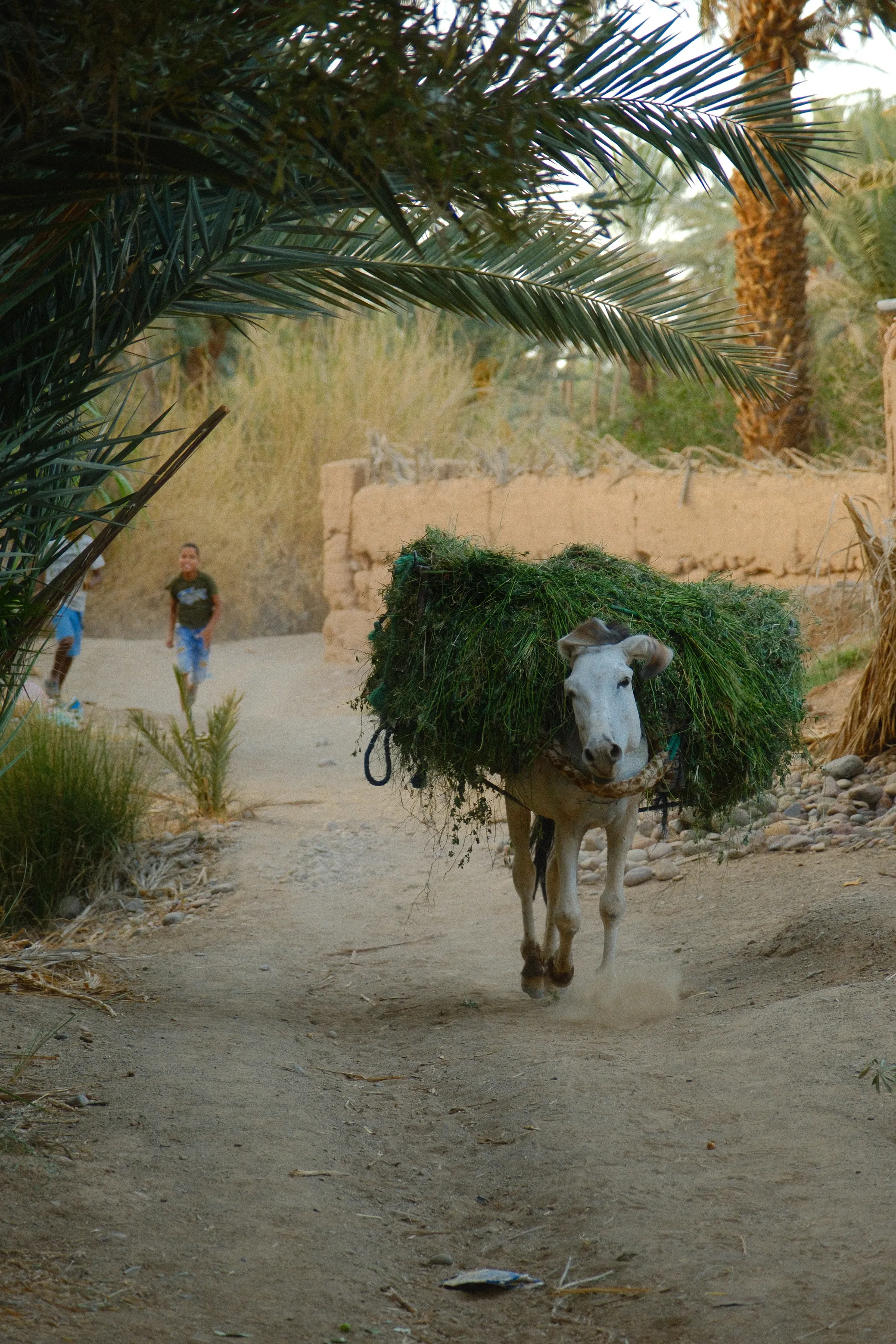 Street photography 8